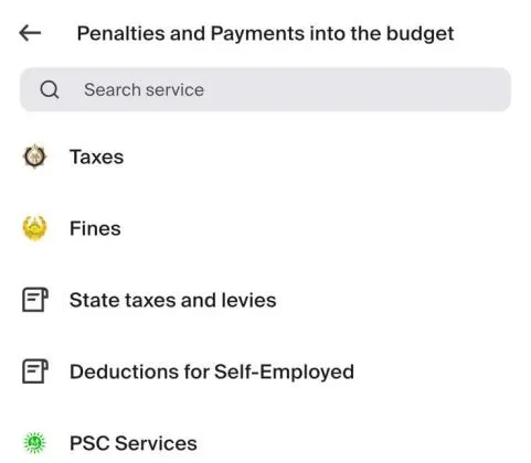 Payment services menu for taxes, fines and health insurance